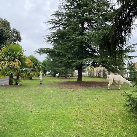 Gite 6 Hotes Au Rez De Jardin De La Villa Jacuzzi Et Sauna En Option 4*